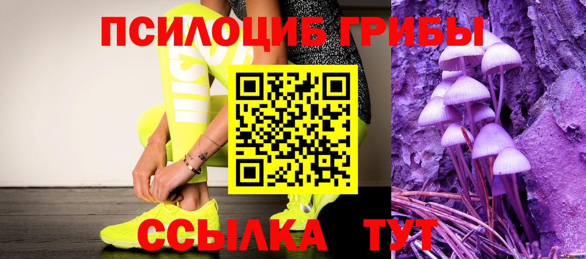 Фролово  Псилоцибиновые грибы GOLDEN TEACHER  Вход с VPN  как найти закладки  Псилоцибиновые грибы мухоморы 